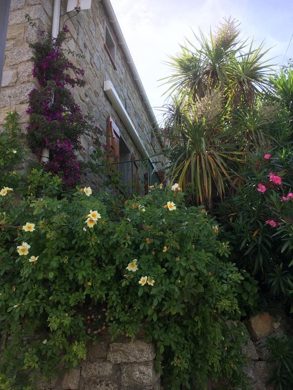Appartamento Poggio Casa Mezanaccia Santa-Lucia-di-Tallano
