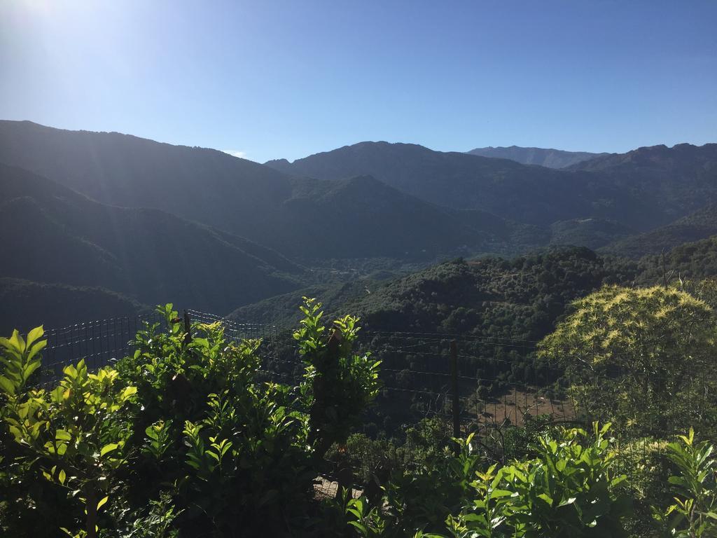Appartamento Poggio Casa Mezanaccia *