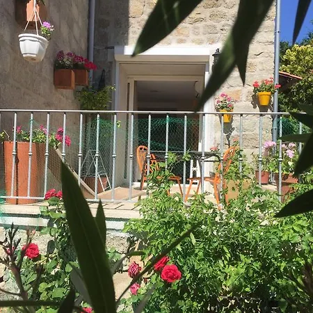 Maison De Vacances - Casa Mezanaccia Avec Terrasse Fleurie Meuble Tourisme 3 Etoiles Santa-Lucia-di-Tallano Exterior foto