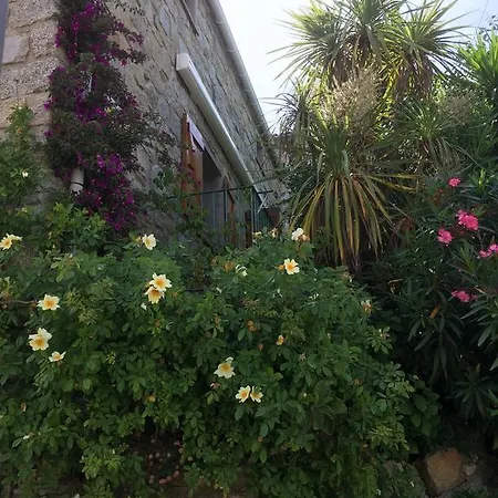 Maison De Vacances - Casa Mezanaccia Avec Terrasse Fleurie Meuble Tourisme 3 Etoiles Santa-Lucia-di-Tallano Quarto foto