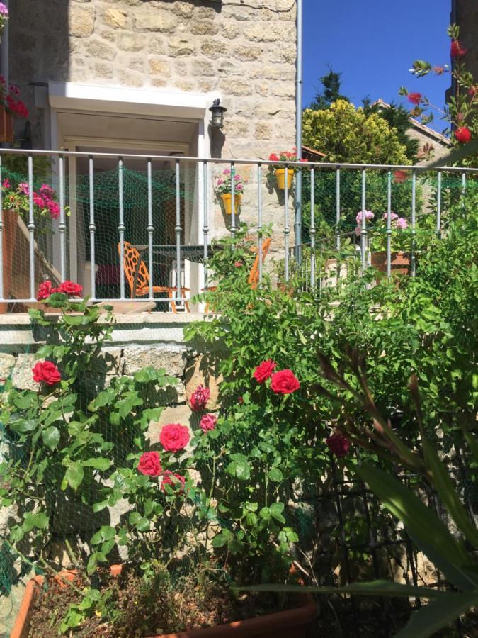 Maison De - Casa Mezanaccia Avec Terrasse Fleurie Meuble Tourisme 3 Etoiles